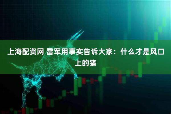 上海配资网 雷军用事实告诉大家：什么才是风口上的猪